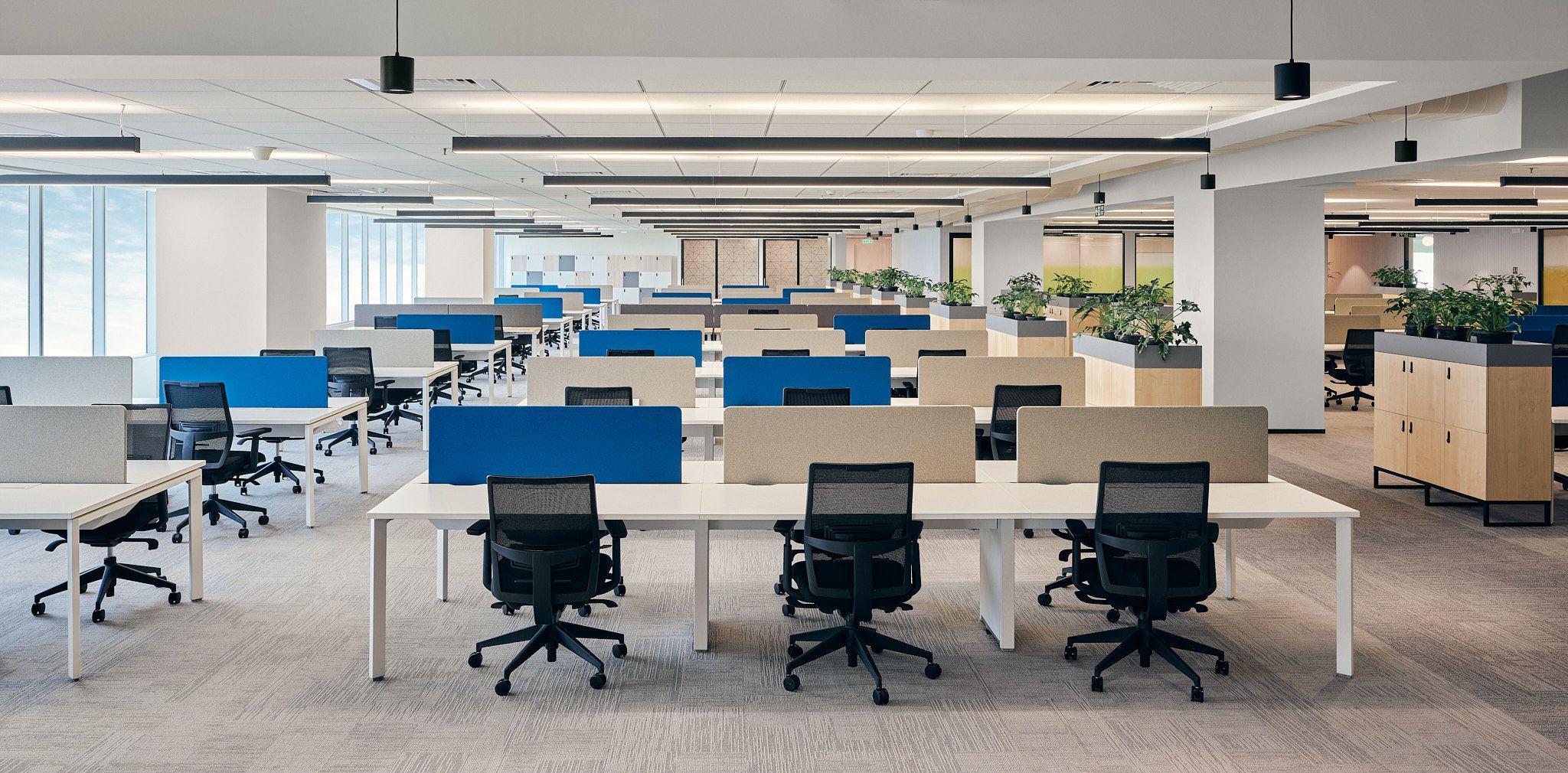 Office workspace at Divyal Technologies